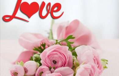 bellas frases para agradecer saludos de San Valentín