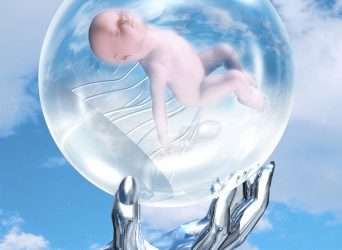 Descargar bonitas frases para compartir sobre la vida, descargar las mejores frases para compartir sobre la vida