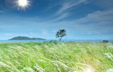 Descargar frases bonitas para agradecer todos los días, descargar las mejores frases positivas para todos los días