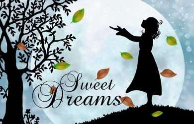 Descargar mensajes de dulces sueños mi princesa para dedicar por Telegram,