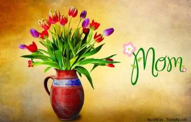 mensajes de felíz día de la Madre.#SaludosPorElDíaDeLaMadre