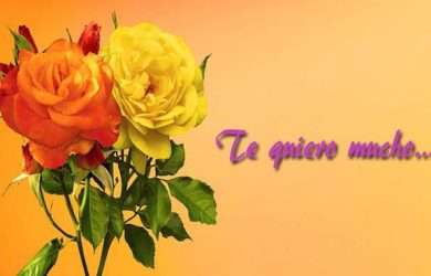 Las mejores postales de apoyo para amiga triste para Whatsapp