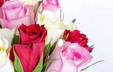 lindas frases positivas para mujeres luchadoras