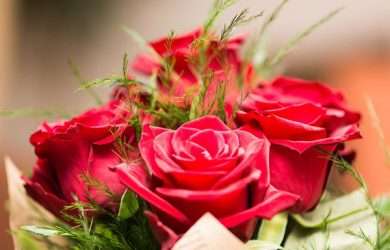 lindos mensajes para el dia de la mujer