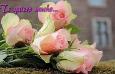 lindos mensajes de amistad verdadera.#MensajesDeAmistad