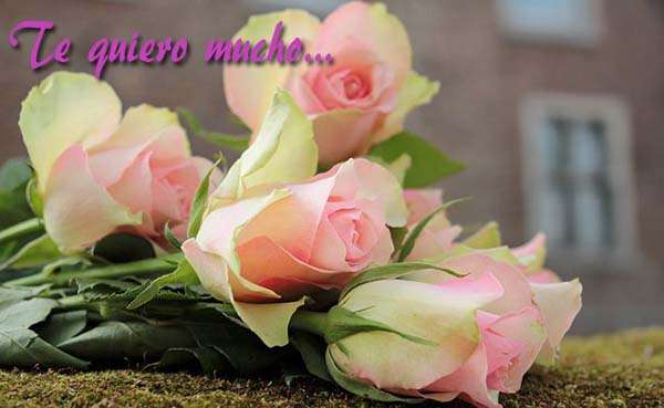 lindos mensajes de amistad verdadera.#MensajesDeAmistad