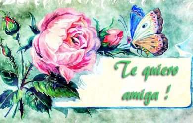 lindas frases de perdon a una amiga.#FrasesDePerdónParaMiAmiga