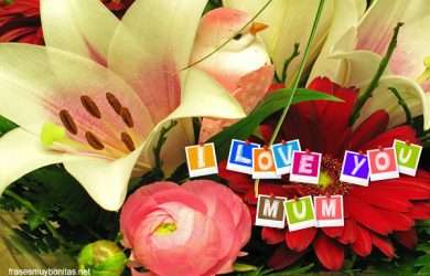 lindos saludos por el Día de la Madre.#TarjetasPorElDíaDeLaMadre