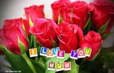 bellas y originales frases por el dìa de la Madre.#SaludosParaElDíaDeLaMadre
